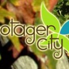 Il était une fois, Yoann, créateur de Potager City, un conte des temps modernes
