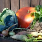Fruits et légumes de saison: qu’est ce qu’on mange en Février?